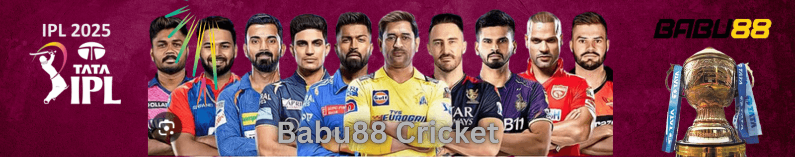Tata ipl cricket banner